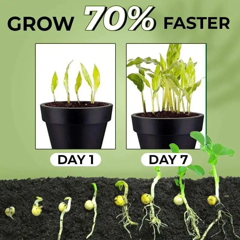 2PCS Rapid Rooting Powder Water Soluble Strong Growth Hormone Root Seed Germination Flowers Seeds Fertilizer For Plants | Дом и сад