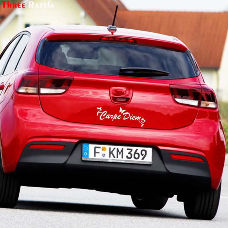 Три Ratels FTZ 103 # Carpe Diem Sticker s виниловая стильная художественная наклейка креативная