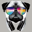 Классная модель, моющаяся Термотрансферная картинка с 3D рисунком собаки с наклейкой на очки