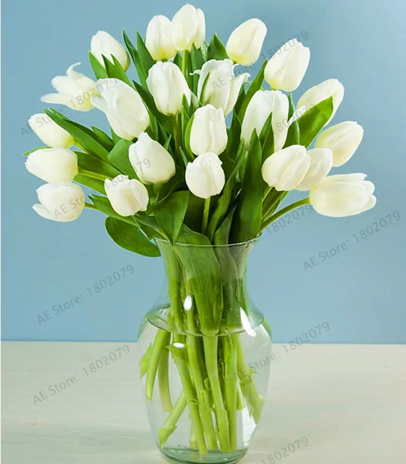 11 103 шт./пакет в форме тюльпана от flores Редкие бонсай растения, красивые тюльпаны в горшке, многолетнее на приусадебных участках, а также в форме тюльпана от завода - Цвет: 11