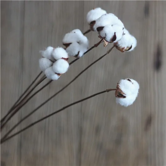 Деревенский стиль Технология вечная жизнь хлопок домашний интерьер украшение