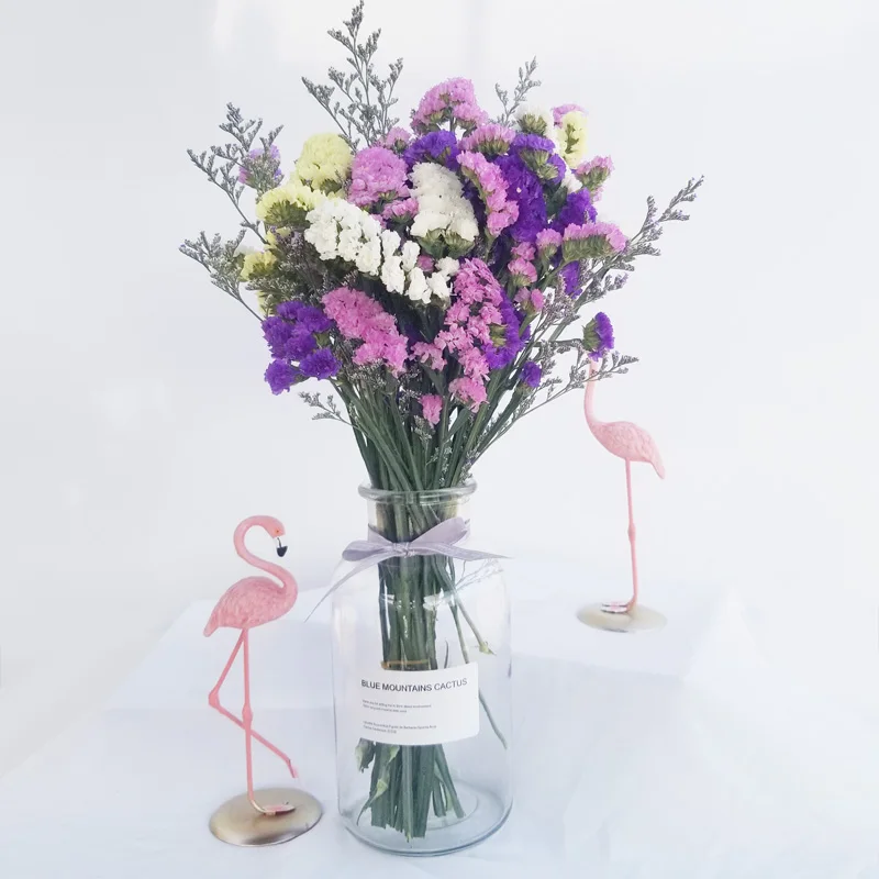 

Natural Plant Multicolor Myosotis Sylvatica Lover Grass Eternal Floral Wedding Party Valentine's Day DIY Bouquet Home Decoration