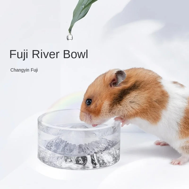 Хомяк без воды может прожить. Хомяк из стекла. Хомяк в стеклянном шаре. The Hamster is _ _ _ the Bowl.