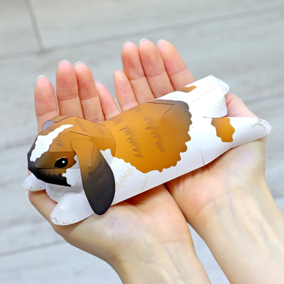 Pocket animal. Бумажный кролик. Бумажная модель кролика. Бумажные питомцы. Карманный бумажный кролик.