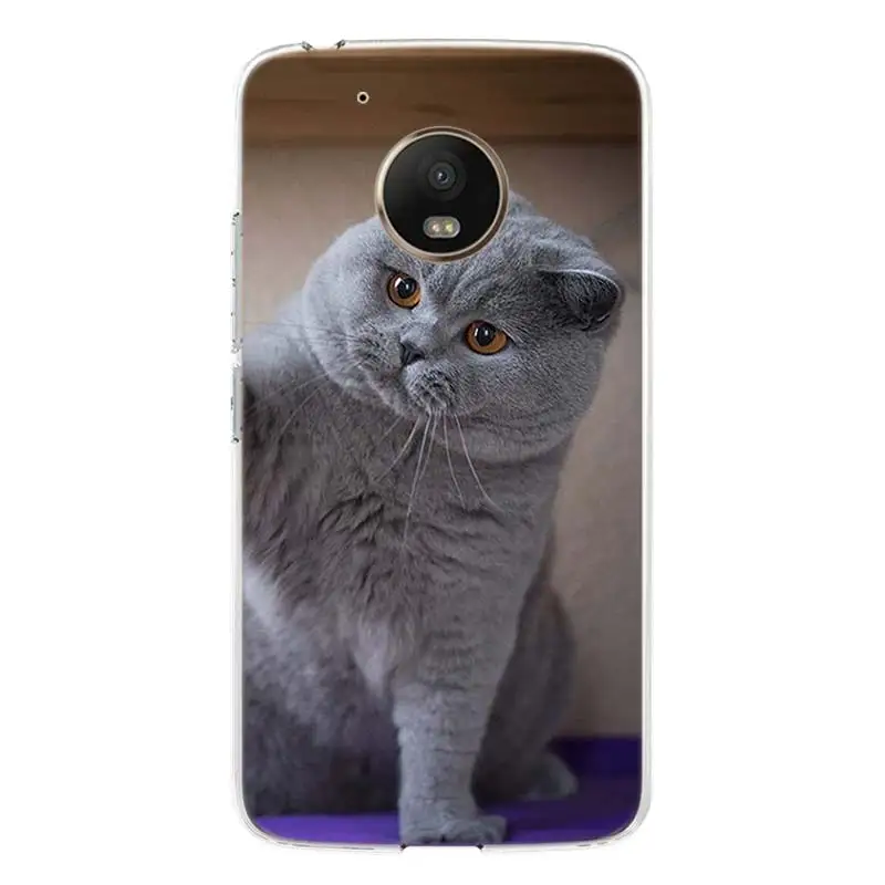 Чехол для телефона с британским котом короткого замыкания Motorola Moto G9 G8 G7 G6 G5S E6 E5 Plus