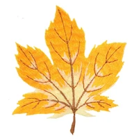 gold maple leaf embroidered patches for clothing thermoadhesive badges patch thermal stickers for fabric clothes sew appliques