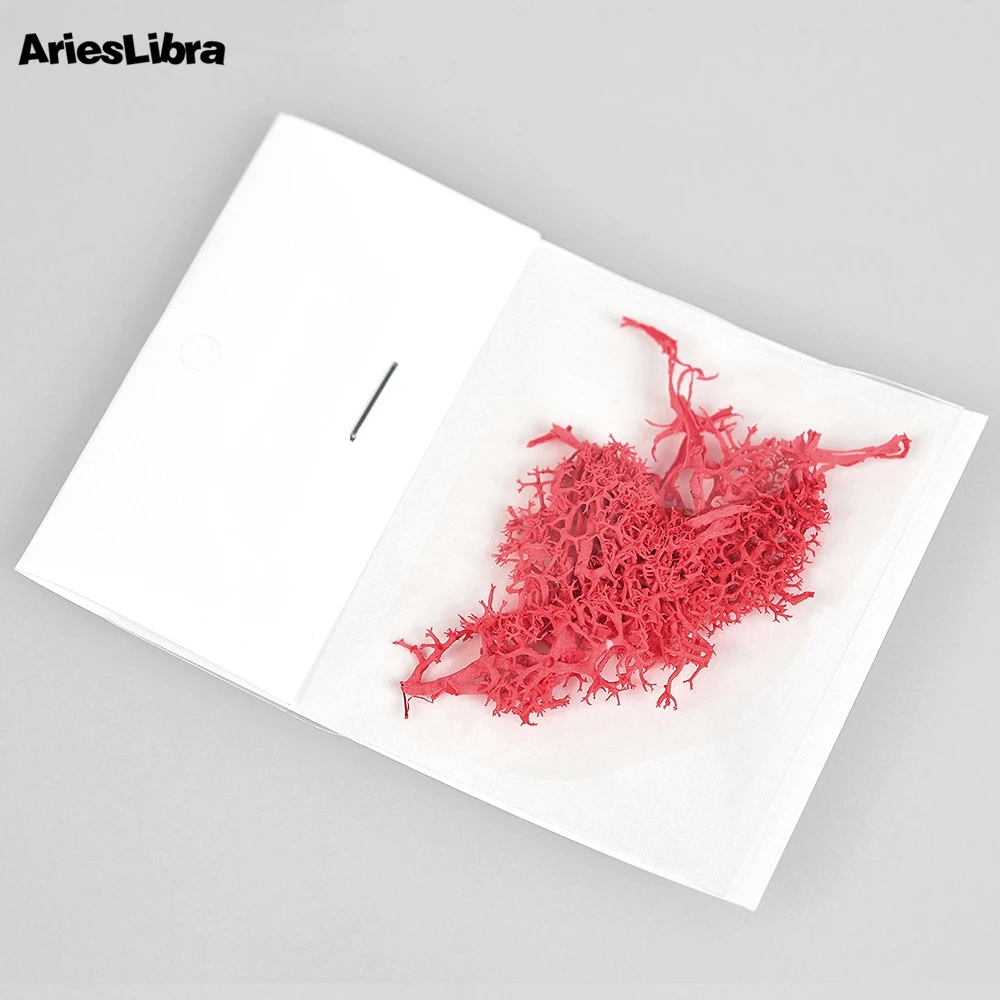 AriesLibra водные растения сохраненные цветы 3D сушеный цветок натуральный Сделай Сам