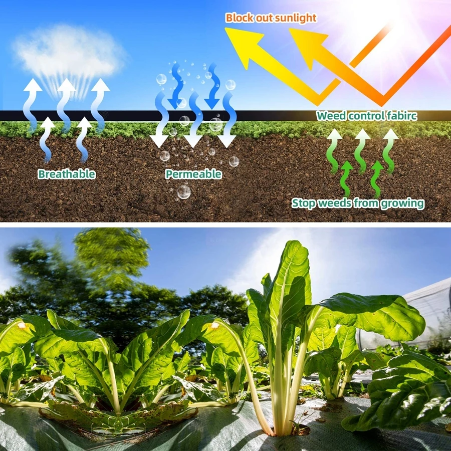 구매 100/200M 헤비 듀티 조경 패브릭 잡초 제어 그라운드 커버 정원 잡초 배리어 원예 매트 마당 꽃 침대 지상