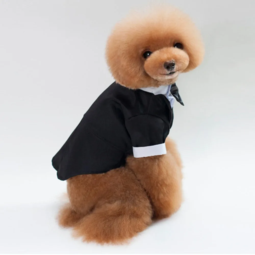 Мужская одежда с принтом в виде собак для маленьких мальчиков собаки смокинг