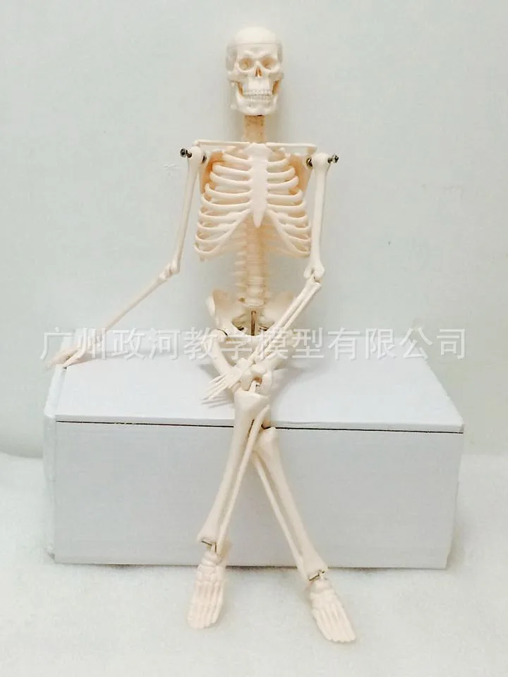 Штатив для медицинских целей 45 см | Канцтовары офиса и дома