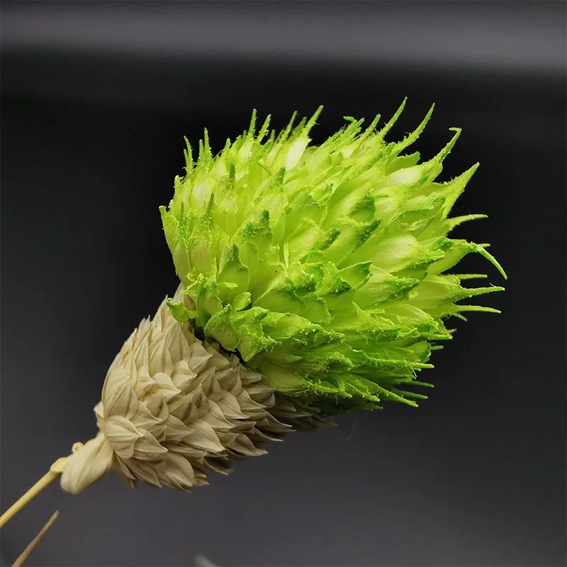 

Preserved Flower Dried Real Natural Plants Bunch Strawberry Fruit Bouquet Multicolor For Christmas Wedding Party Home Decoration