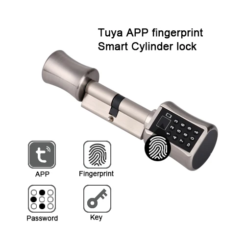 Bluetooth цилиндр TUYA App пароль Fingeprint умный дверной замок с цифровой клавиатурой