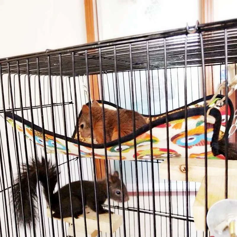 Гамак для домашних животных многоцветный гамак хомяка морской свинки белки