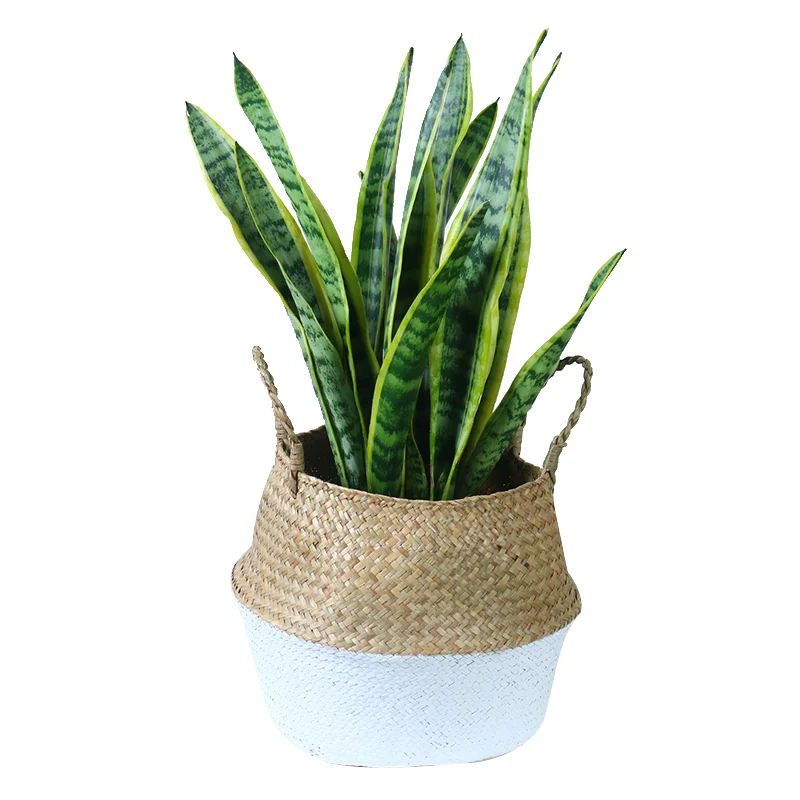 Storage Basket Rattan Straw Wicker Folding Flower Pot Seagrasss Baskets Garden Planter | Дом и сад