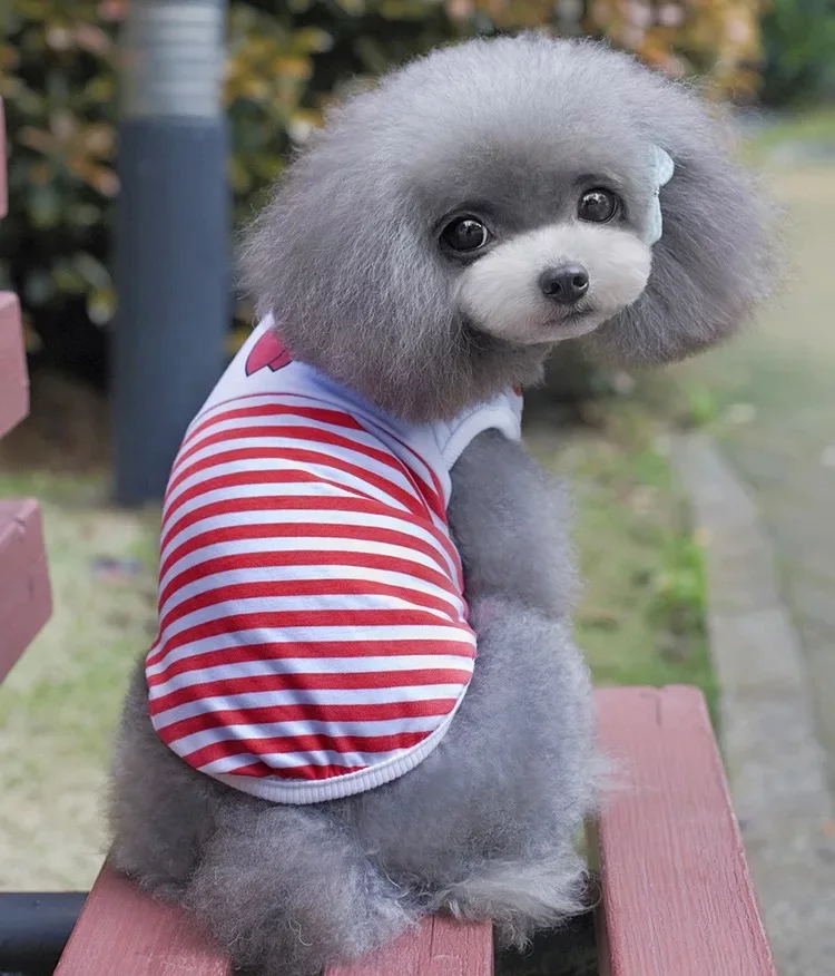

Breathable Dog Clothes Spring Summer Dog Vest Down Jacket Puppy Small Dog T-Shirt French Bulldog Yorkshire Chihuahua Dog Tshirt