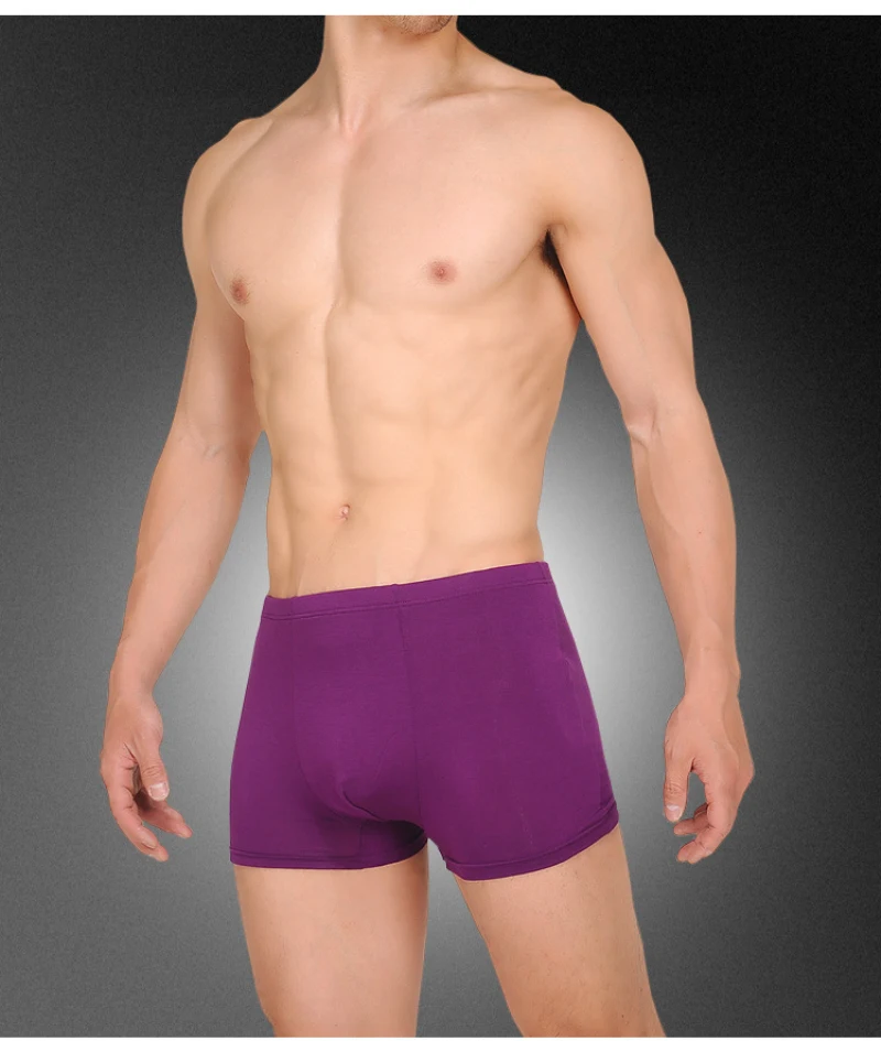 5 шт./лот мужские бамбуковые трусы высокого качества Мужское нижнее белье