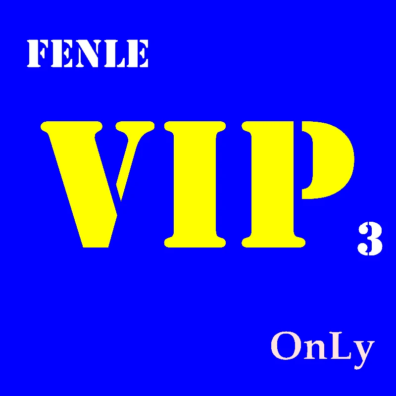 

FENLE VIP Building Blocks Educational Toys For Children Boys