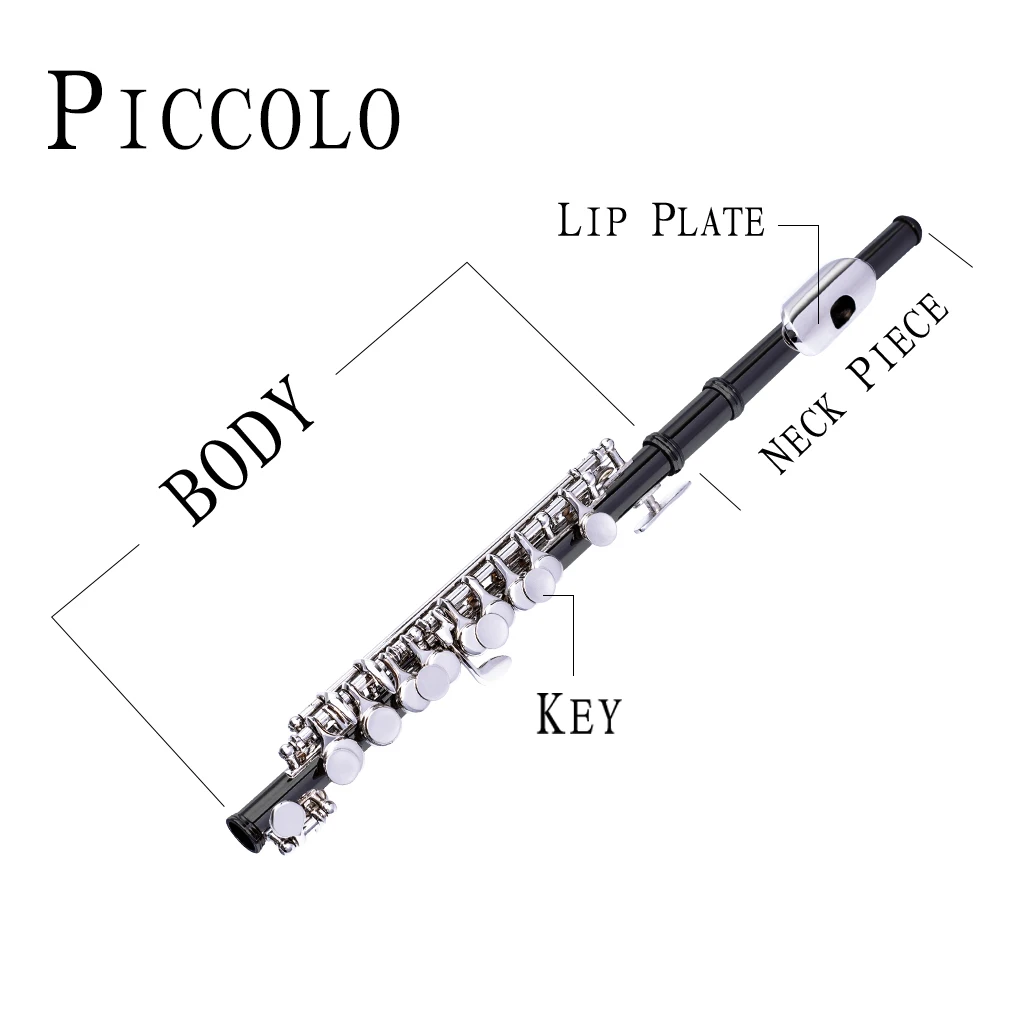 Classic Black Color Nickel Plated C Key Piccolo W/ Case Cleaning Rod And Cloth And Gloves Cupronickel Piccolo Set enlarge
