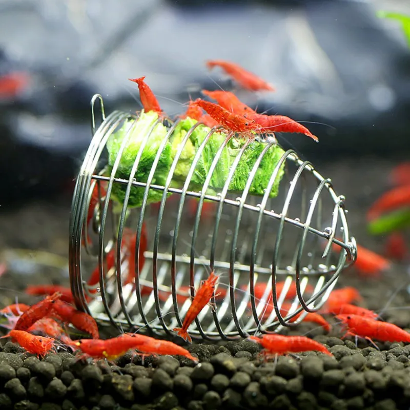 

Durable Aquarium Shrimp Small Bait Feeder Dry Spinach Feeding Stainless Steel Cage