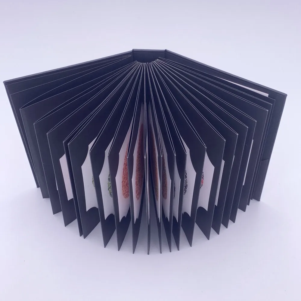 Ishihara тест книга на Цветоустойчивость 38 тарелок|Фоциметры| |