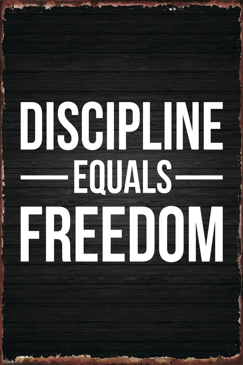 

Жестяная Табличка в стиле ретро с надписью «Discipline Freedom»