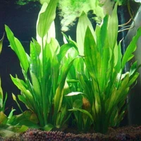 1pcs pvc plastic artificial aquarium plants decoration 15cm height