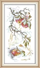 Набор для вышивки крестиком Apple in the snow, зимние фрукты aida 14ct 11ct, рисунок, искусственная вышивка, рукоделие сделай сам