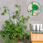 Фиксированная Пряжка, крючок для подъема растений, настенный самоклеящийся зажим, зажим для подъема растений, зажим для лозы