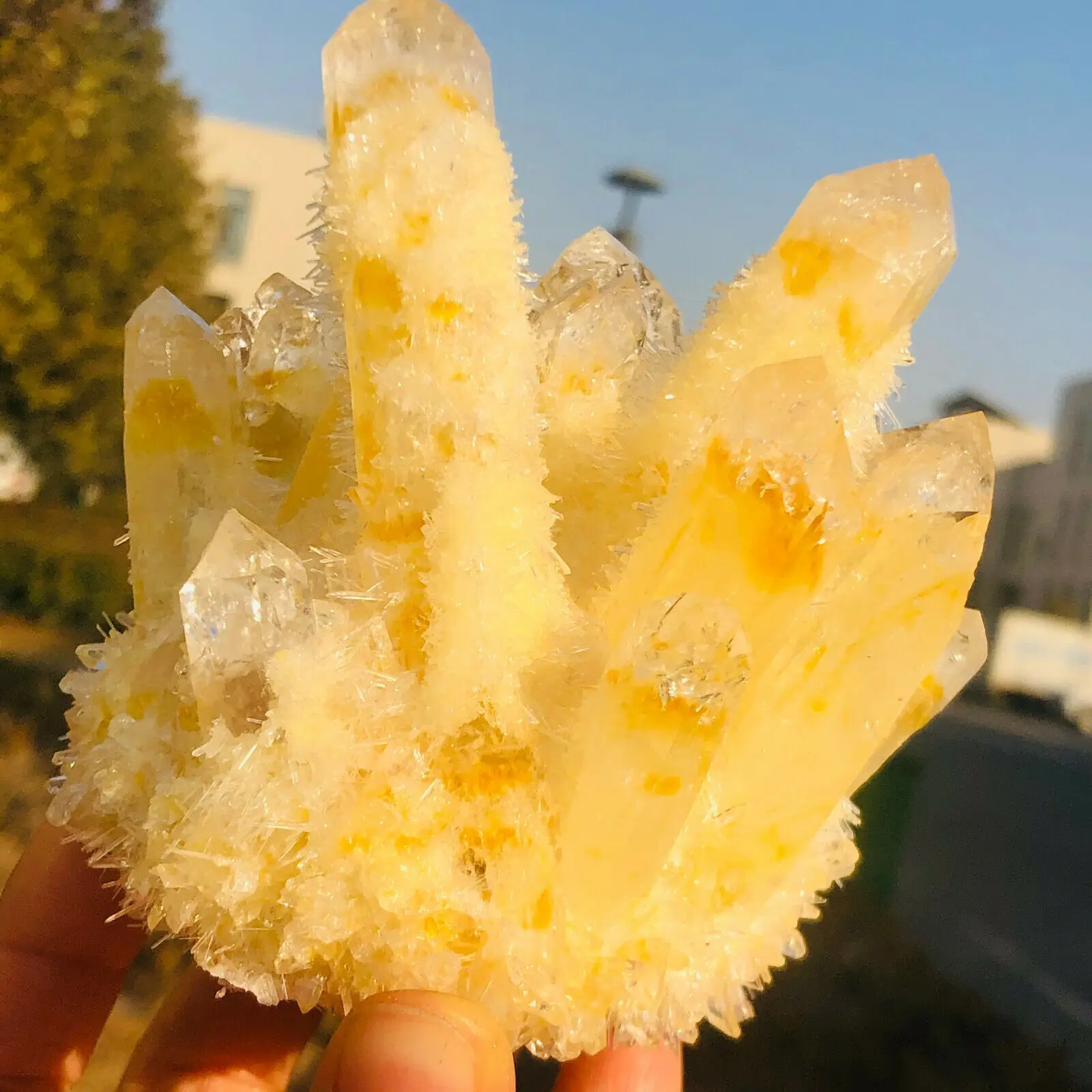

Rare new yellow phantom quartz crystal cluster specimen