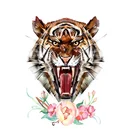 5D квадратная алмазная живопись, Набор для вышивки крестиком с животными, стразы, домашний декор, рукоделие