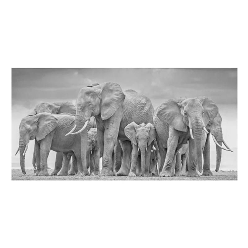 Современные постеры и печати с черными африканскими слонами на холсте, животные изображения для гостиной, декор Cuadros.