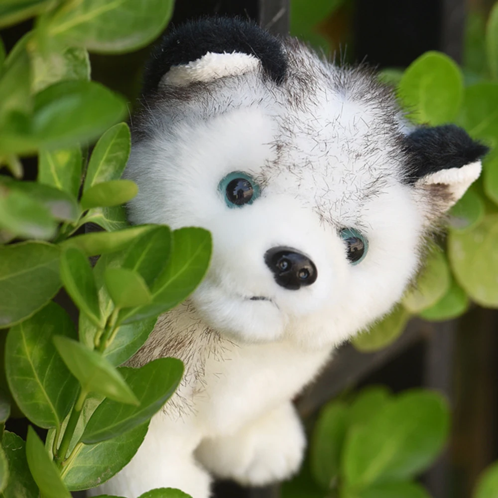 Реалистичные игрушки Husky Dog плюшевые животные детские мягкие куклы Kawaii Wolf Pet милые