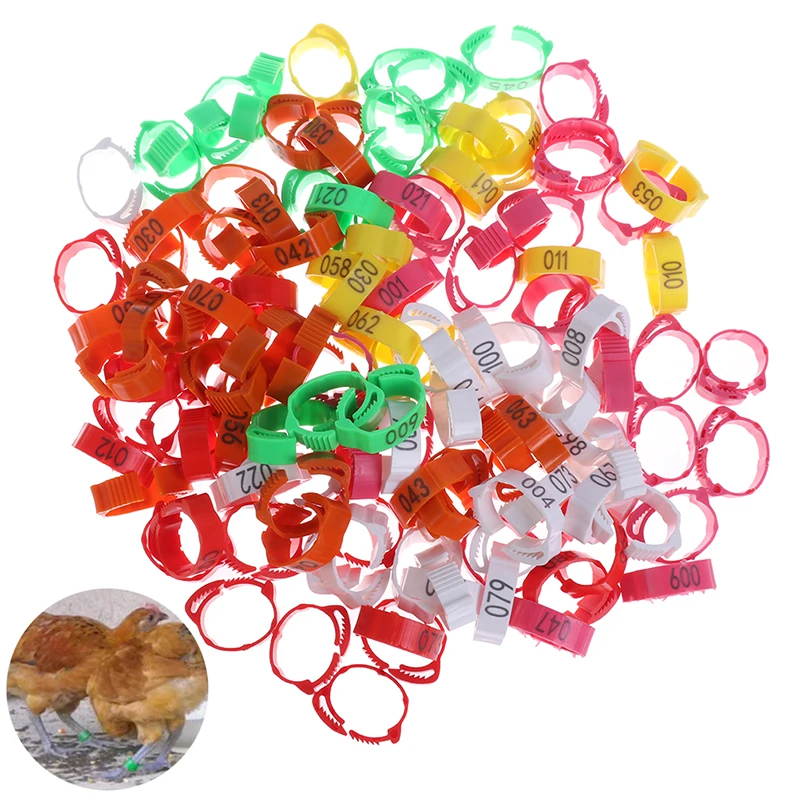 100Pcs Chicken Foot Ring Adjustable Size Poultry Leg Digital Label Buckle Ring 6 Colors Plastic Chick Duck Goose Farm Equipment