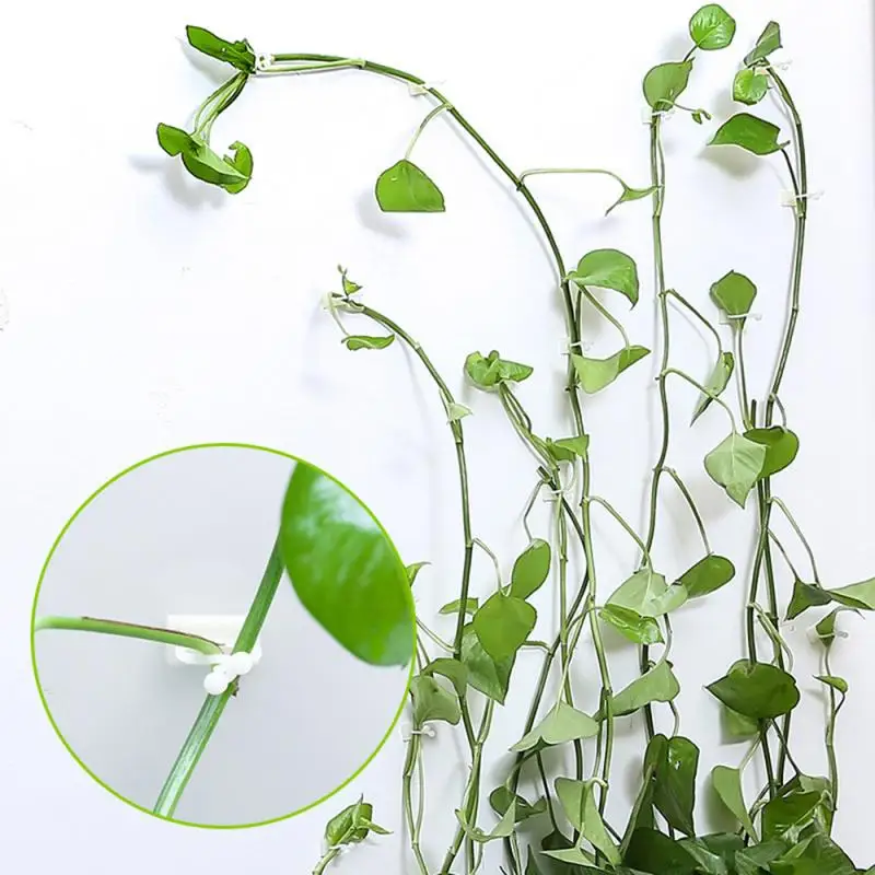 20Pcs Invisible Wall Vines Fixture Rattan Clamp Clip Sticky Hook Climbing Vine Plant Fixer Home Balcony Garden Decor Holder | Дом и сад