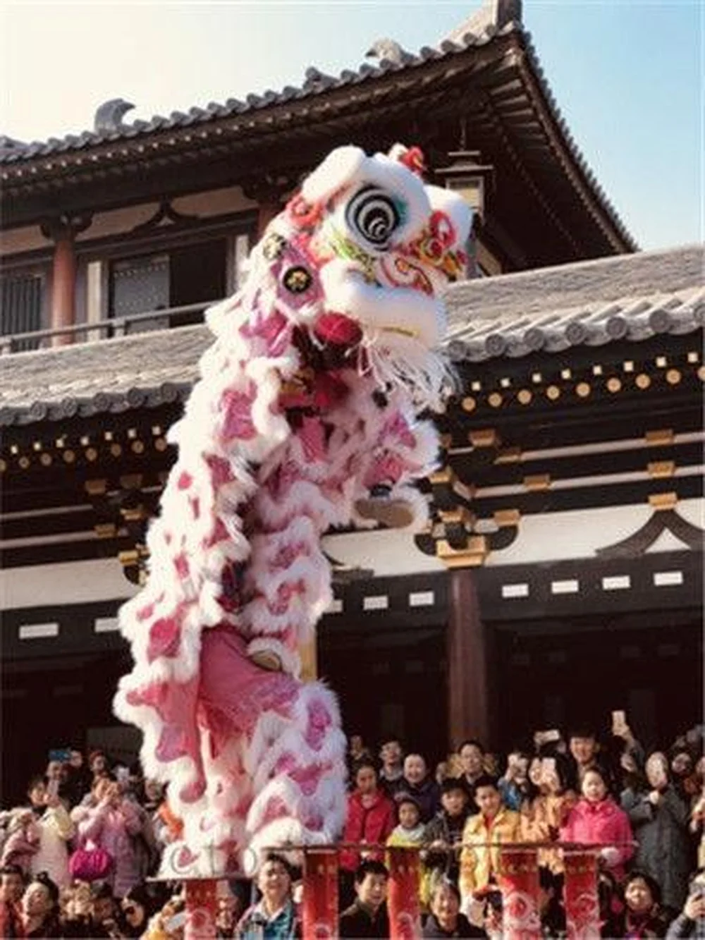 Косплей льва костюм талисмана для танцев шерстяной хокса из китайского