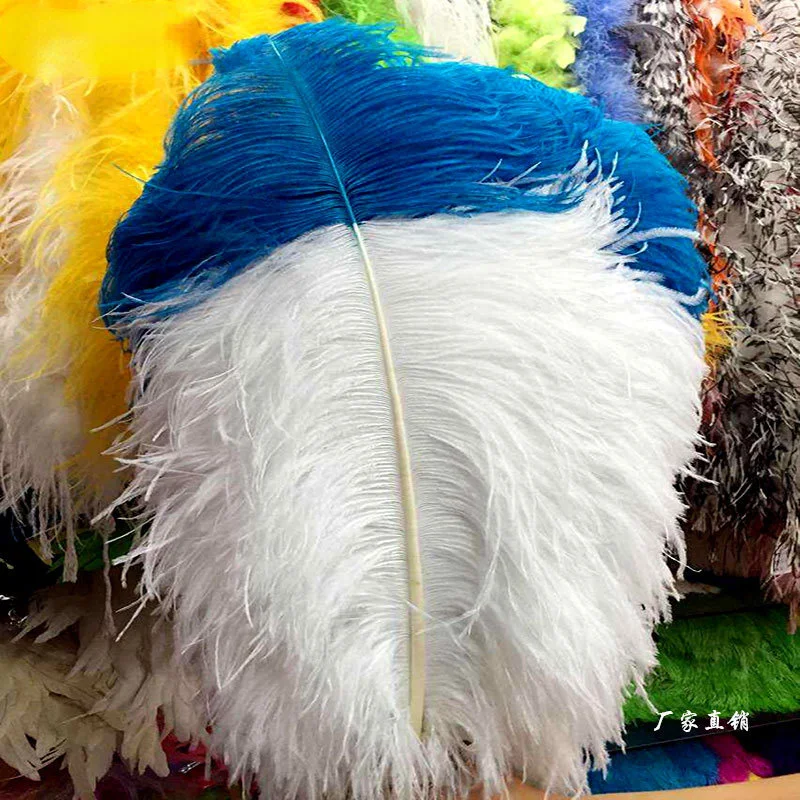 

Sale 50pcs/lot Beautiful White Ostrich Feather 65-70cm/26-28inches Craft Wedding Christmas Jewelry Home Dancers Feathers Plume