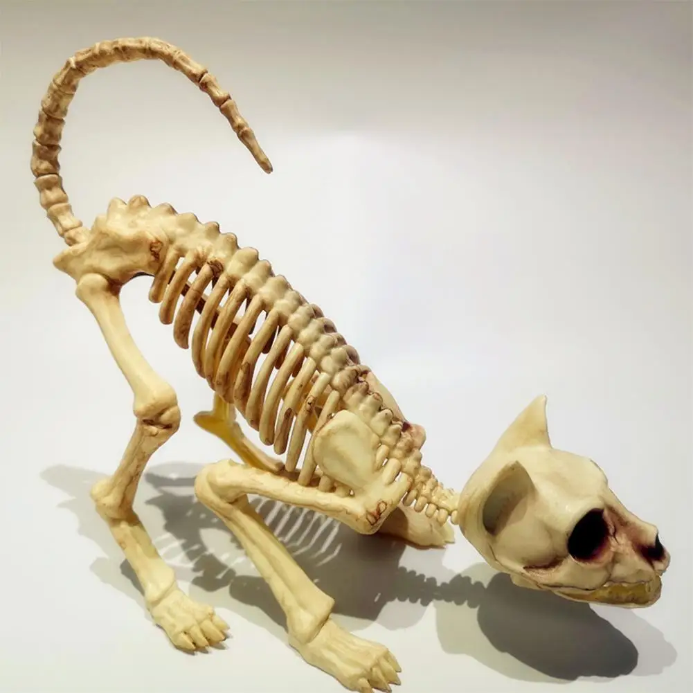 

New Halloween Skeleton Cat Prop Animal Bones Party Shop Decoration Horror Hanging Skeleton Scary Party Wall