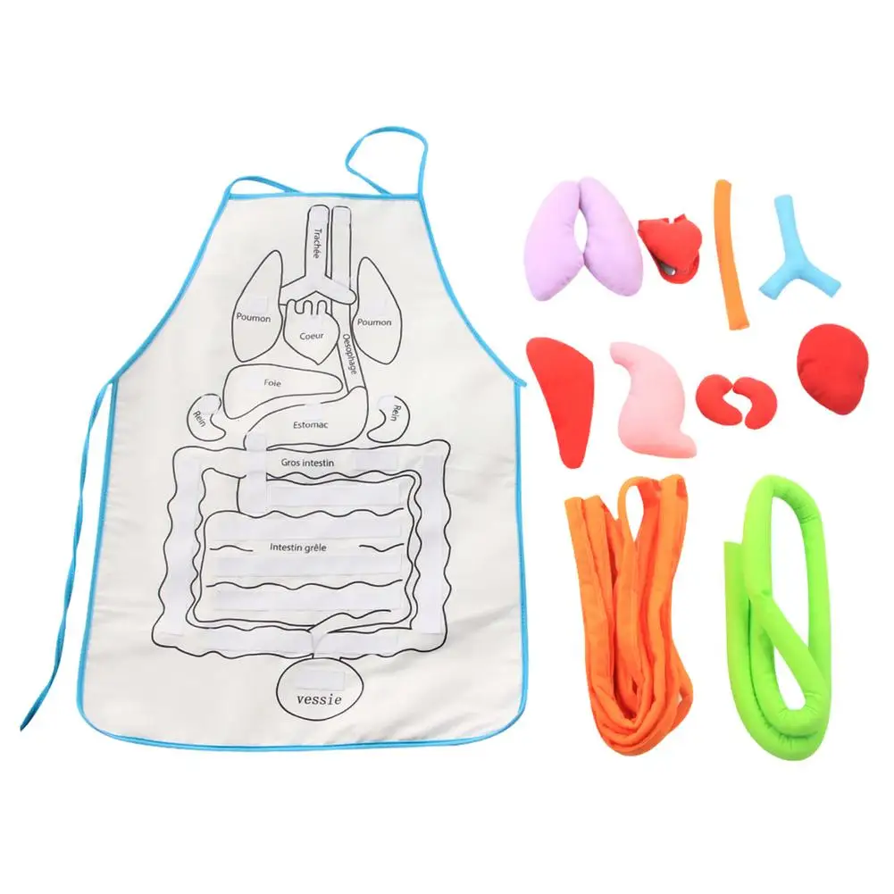 

Children 3D Organ Apron Anatomy Toy Educational Learning Toy New Kindergarten Teaching Materials Human Body Anatomy Model Tool