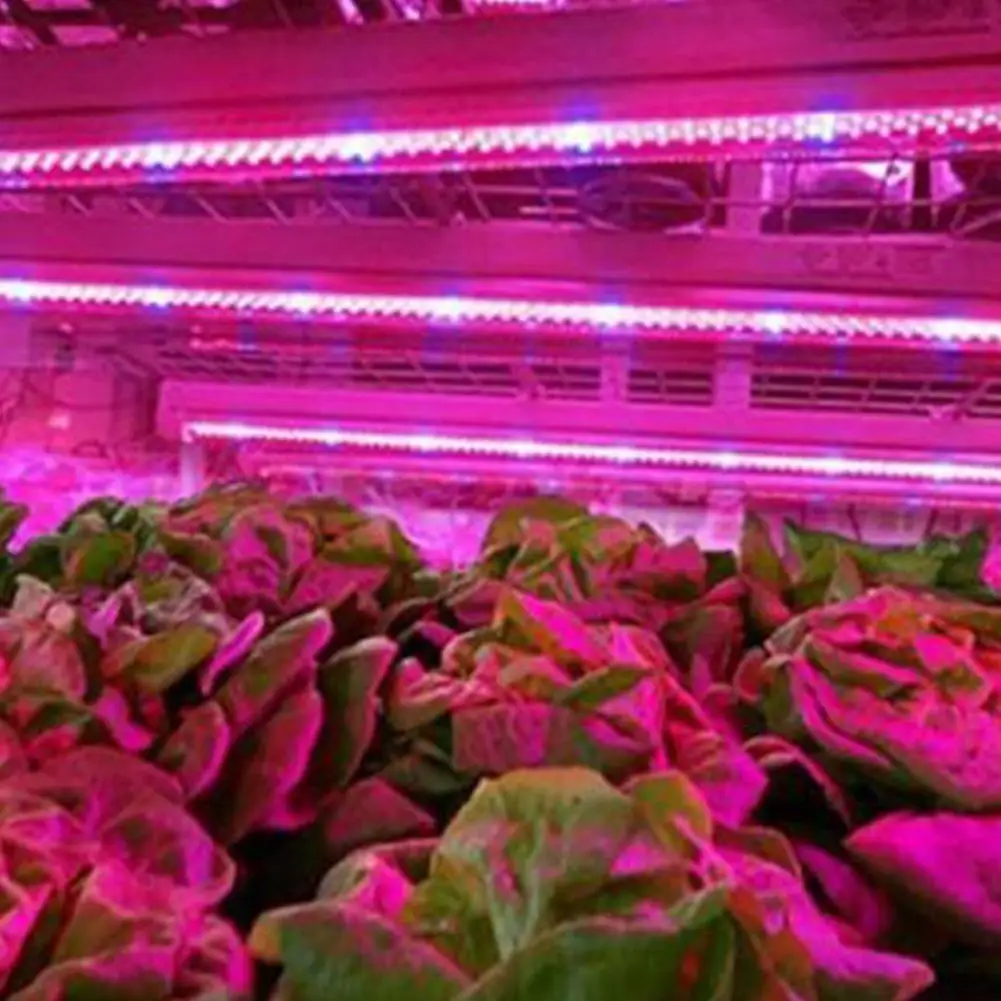 

5M LED Strip Ligh 12V LED Plant Grow Strip Light Waterproof Full Spectrum LED String Light For Vegetable Flower Cultivating