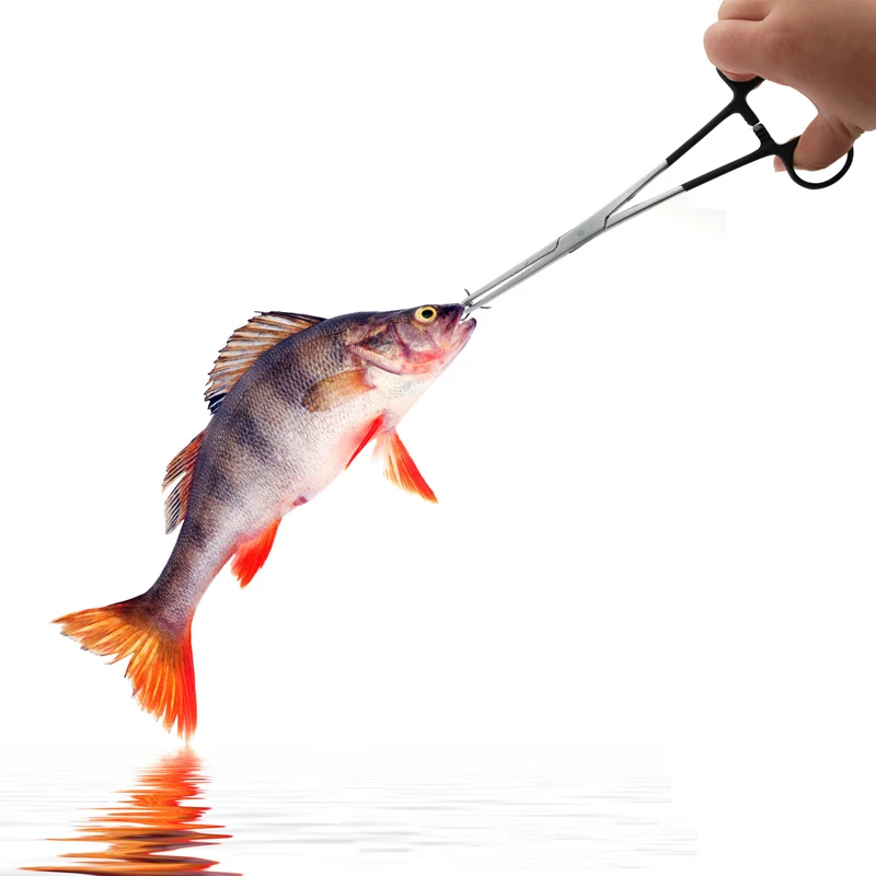 

PPGUN 2021 New 6.5''/8.5''Stainless Steel Fly Fishing Forceps Hook Remover Tackle Straight Tip Clamps Fishing Plier Tools