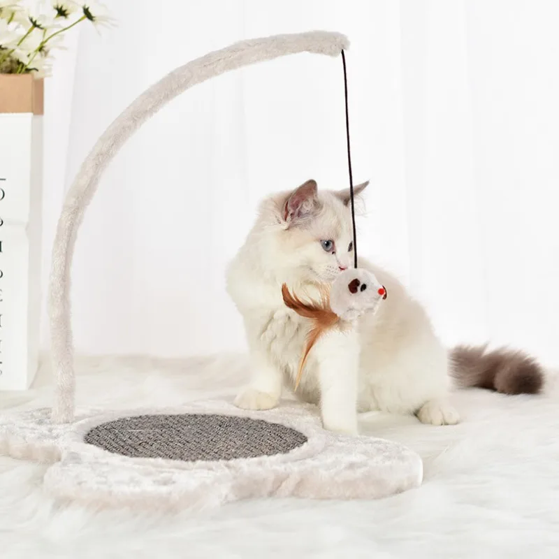 

Pet Products