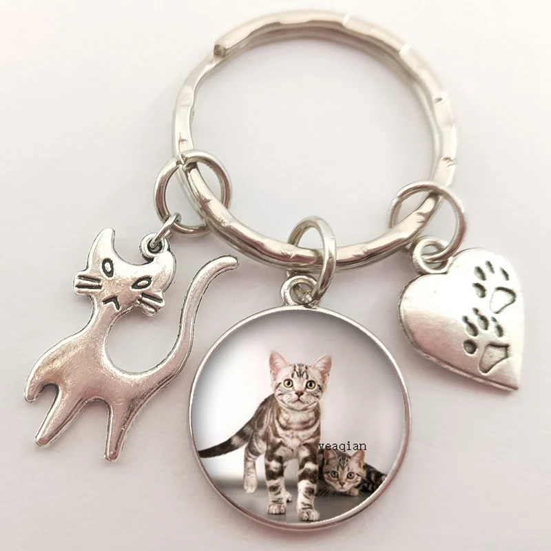 Брелок для ключей в виде животных автомобильный брелок со стеклянным куполом