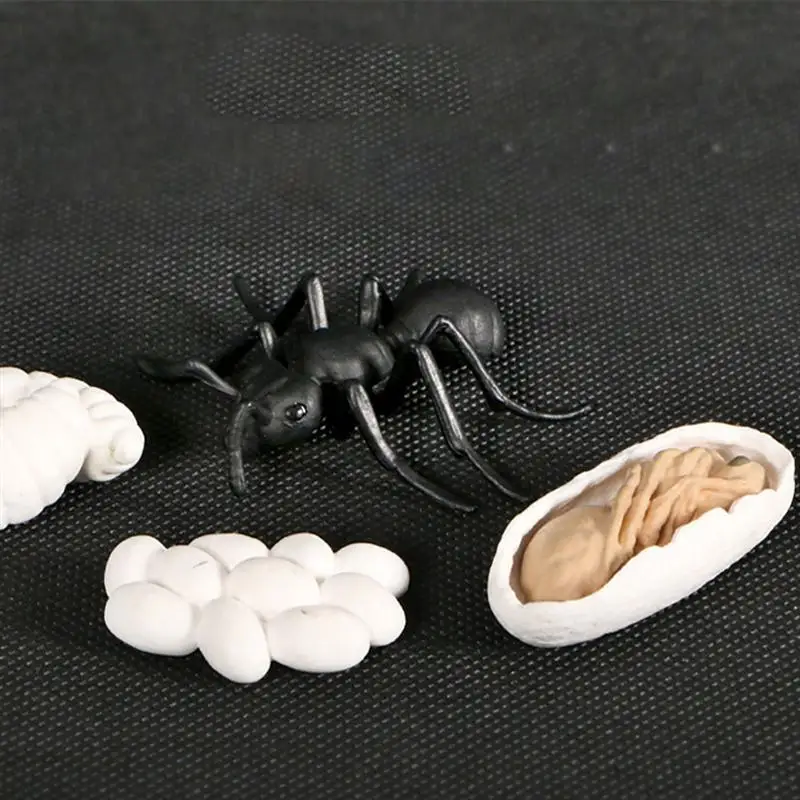 1 комплект демонстрационные модели муравьев очаровательные украшения животных