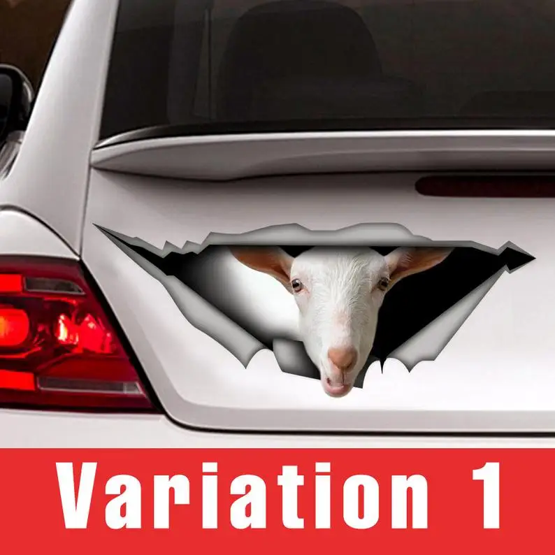 

2021 Saanen goat decal, car decal, farm decal, goat sticker, saanen sticker