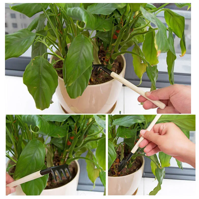 3 шт./компл. Мини садовые инструменты из нержавеющей стали горшечные растения