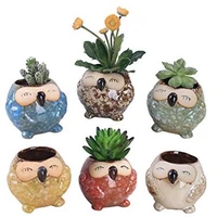 ceramic flowerpot with glazed cats eye owl and lovely fleshy thumb flowerpot flower pot office decor