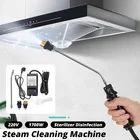 220V 1700W портативный пароочиститель высокое Давление Температура Стерилизация Дезинфекция распылитель для Кухня бытовой Приспособления
