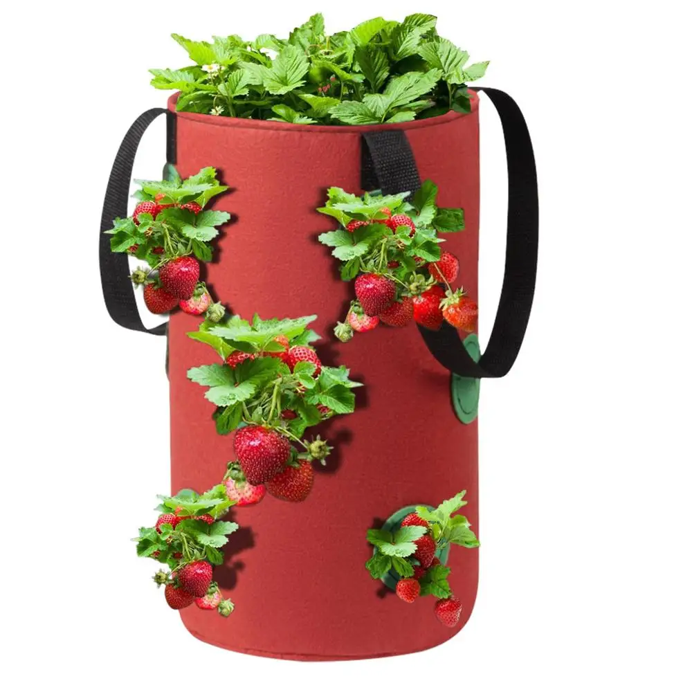 

Multi-Mouth Plant Growing Bag Garden Supplies Bonsai Plant Pot Garden Supplies Strawberry Planting Growing Bag