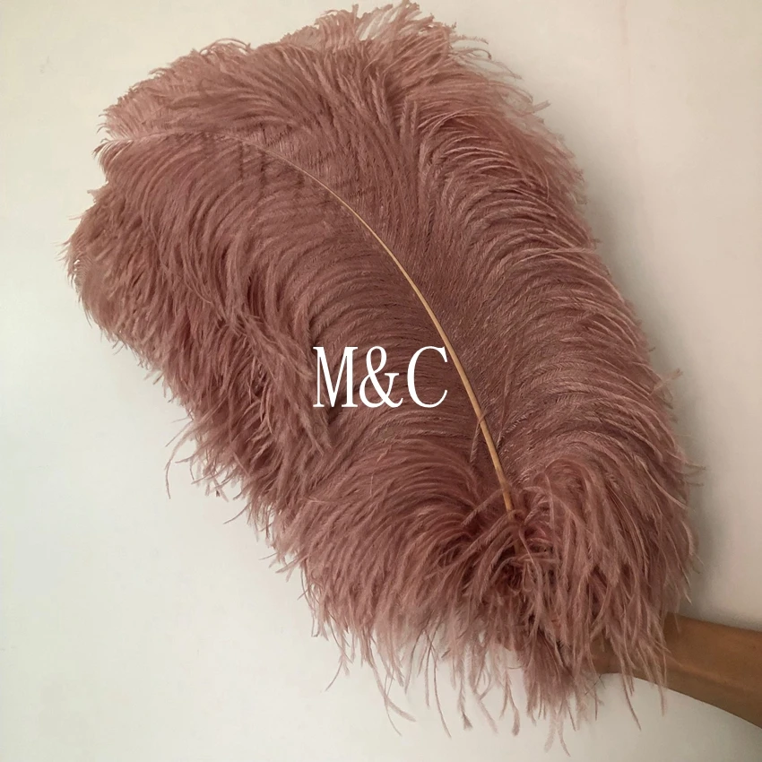 

M&C Feathers 10pcs/packs Leather Pink Dyed high quality big pole ostrich Feathers 55-60CM long DIY party stage decoration Pluma