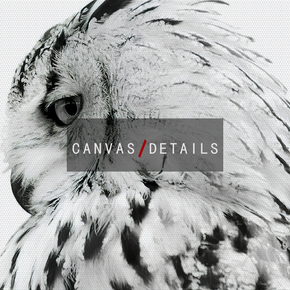 Плакат на холсте в скандинавском стиле Настенная картина черного и белого цветов